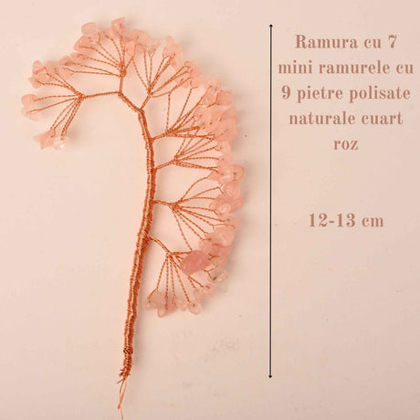 ZSC16-7-CR1