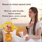 Bonsai cu cristale naturale citrin, supranumit "copacul banilor" - Copacelul cu inaltimea de 25 cm reprezinta cadoul perfect pentru prosperitate, succes, energie pozitiva