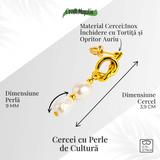 Bijuterie feminina, cercei cu perle de cultura – Rafinament si simplitate aurie