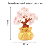 Bonsai cu cristale naturale cuart roz, supranumit "copacul banilor" - Copacelul cu inaltimea de 25 cm reprezinta cadoul perfect pentru prosperitate, succes, energie pozitiva