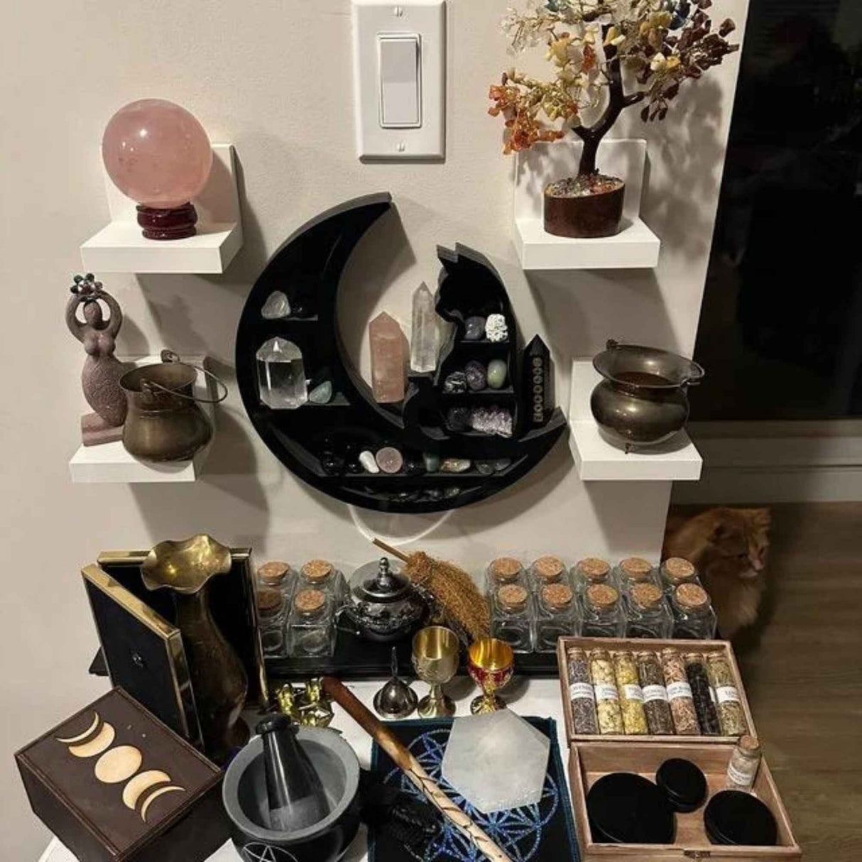 Mini Raft 30x30 cm expunere din lemn pentru cristale, uleiuri esensiale design Pisica neagra pe luna - Decorare gotică pentru cameră Moon Cat