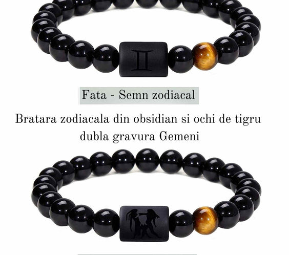 ZSC16-21-Gemeni1