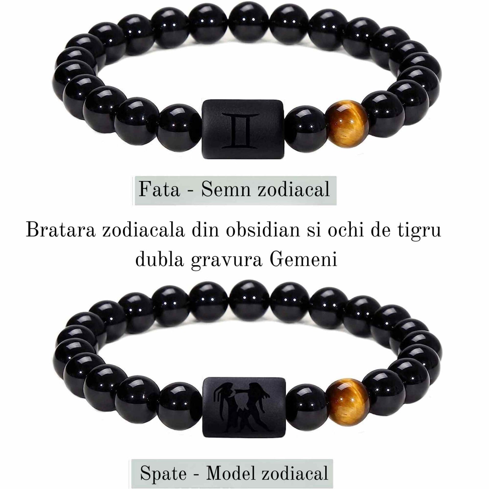 ZSC16-21-Gemeni1