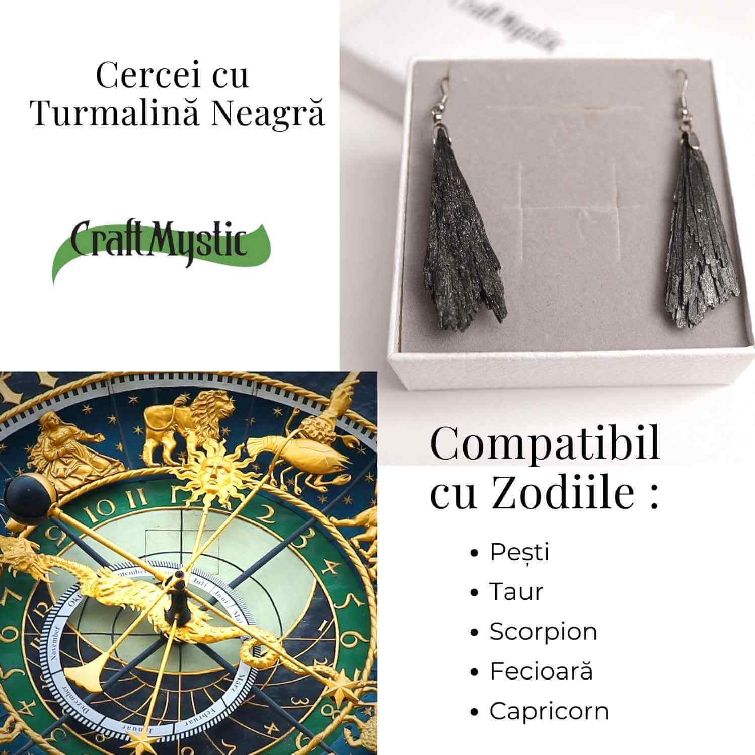 Cercei cu Turmalina Neagra model Aripa – Protectie si Eleganta Naturala