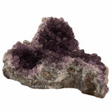 Cluster Ametist Natural Unicat 12 cm 619 gr Energie Cristalina in Forma Autentica