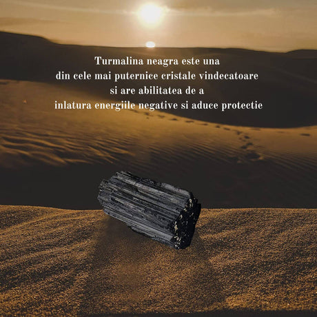 ZSC13-62-464
