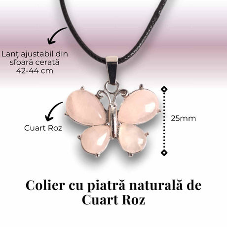 ZSC31-24A3