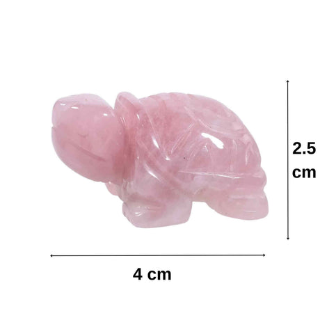 ZSC13-136-CR1