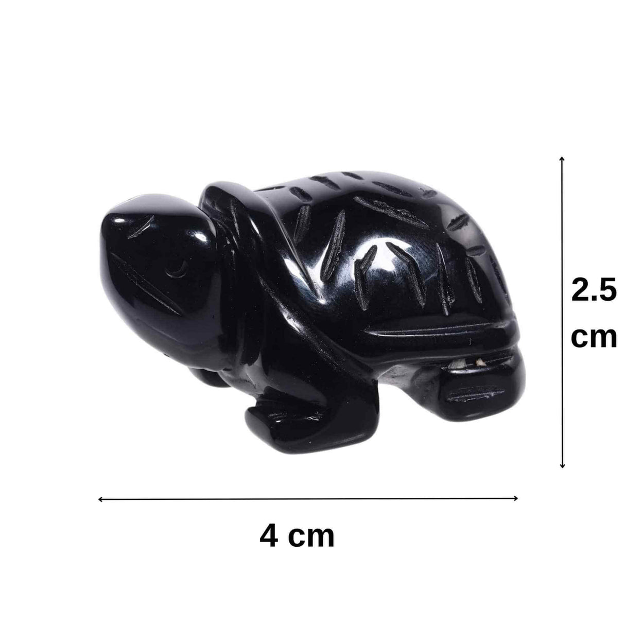 ZSC13-136-OBS1