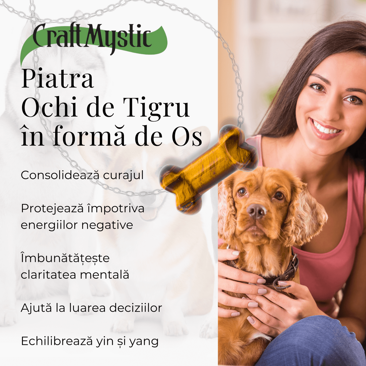 ZSC27-39-OT3