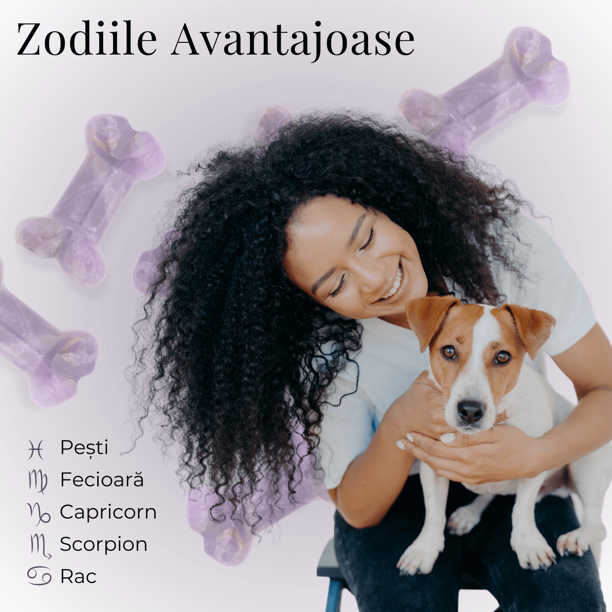 ZSC27-39-AMT3