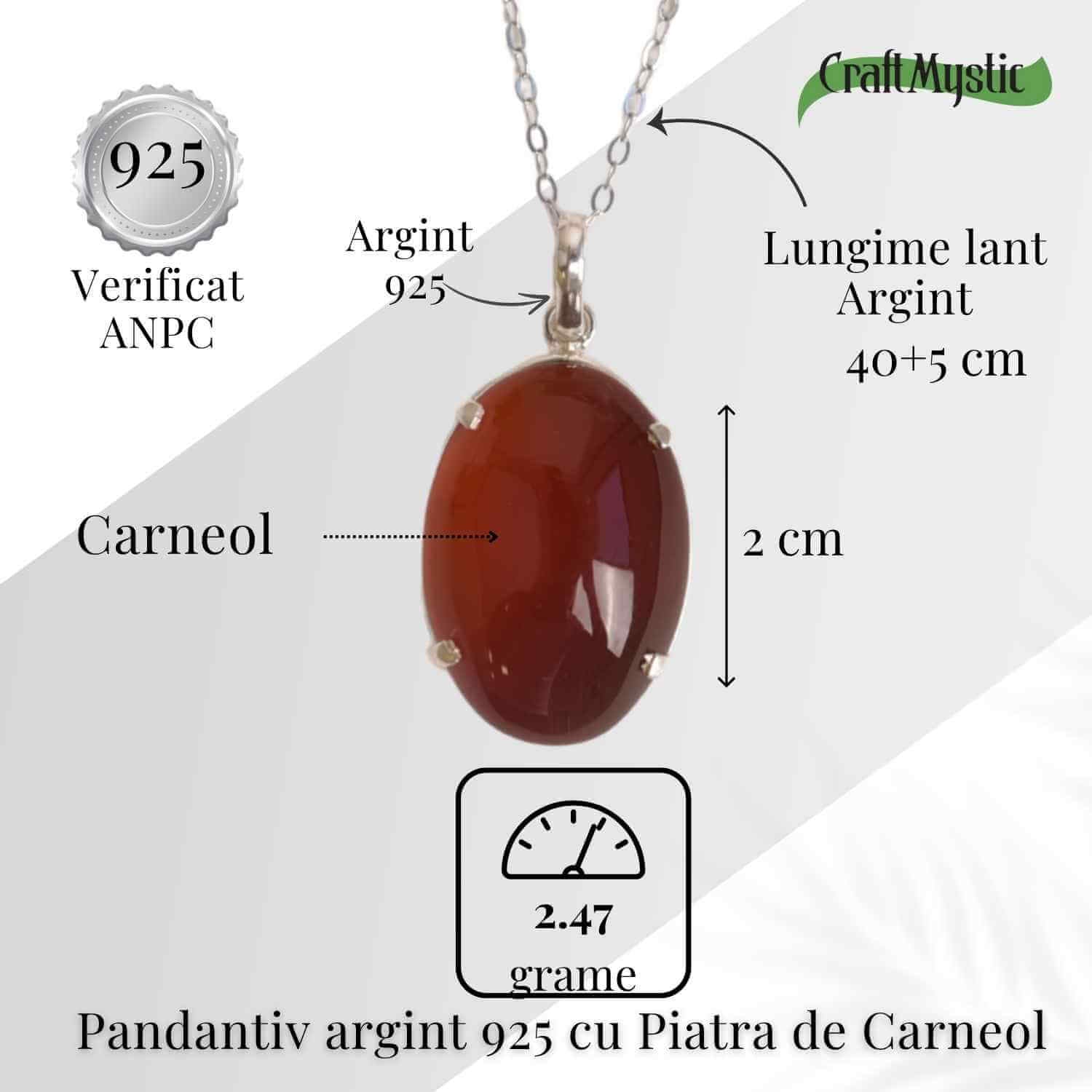 Vitalitate si Curaj Zilnic – Colier Oval cu Carneol si Argint 925