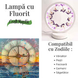 Lampa de noapte rotunda cu cristale ametist brut si rulat – energie pozitiva pentru relaxare