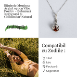 Bijuterie montura argint 925 cu vibe pozitiv – Colier Buburuza norocoasa si chihlimbar natural