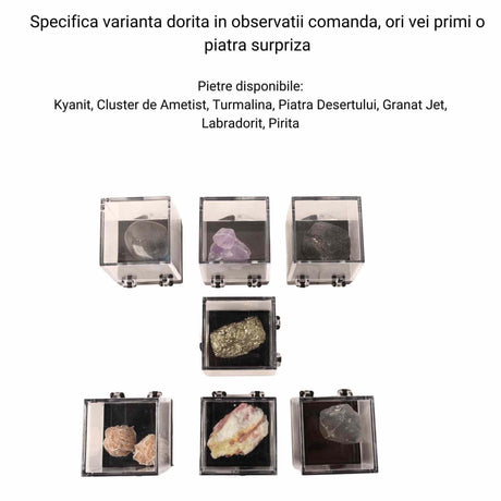 ZSC13-821