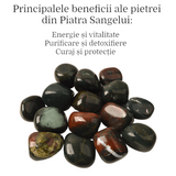 ZSC19-111-454