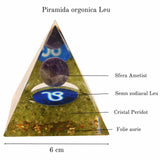 ZSC16-22-Leu1