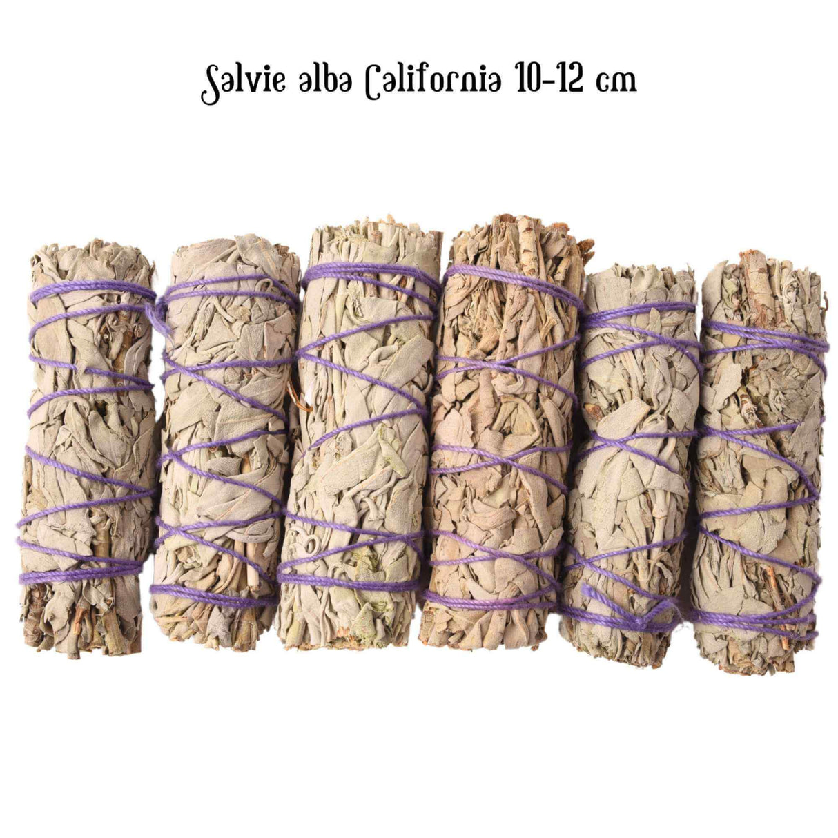 Buchet Salvie Alba California 10-12 cm - Curatare si Purificare Spirituala