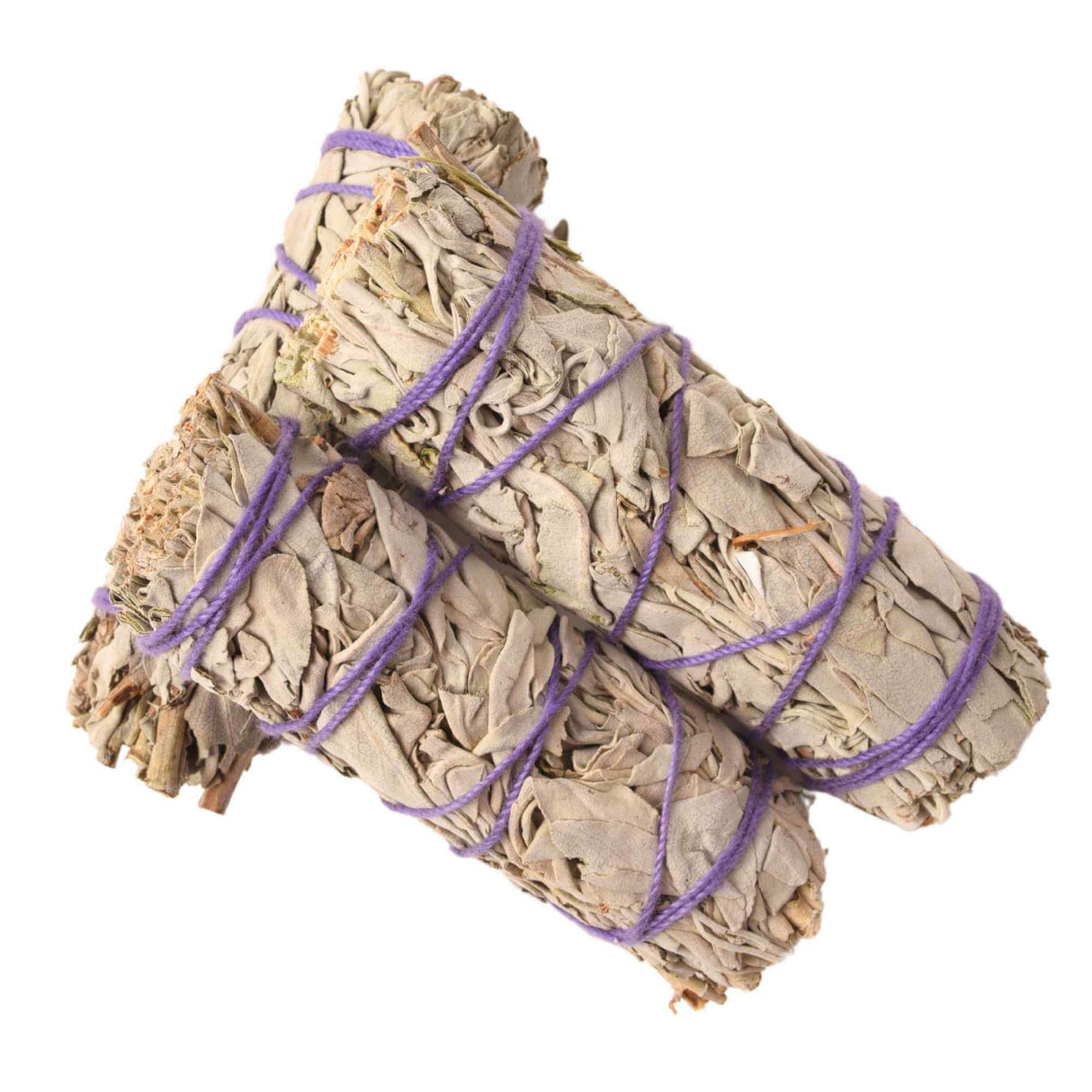 Buchet Salvie Alba California 10-12 cm - Curatare si Purificare Spirituala