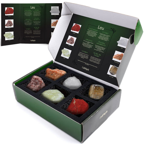Set cadou cu cristale naturale pentru zodia Capricorn, cristale vindecatoare cu semne zodiacale, horoscop, astrologie, cadou perfect pentru zi de nastere.