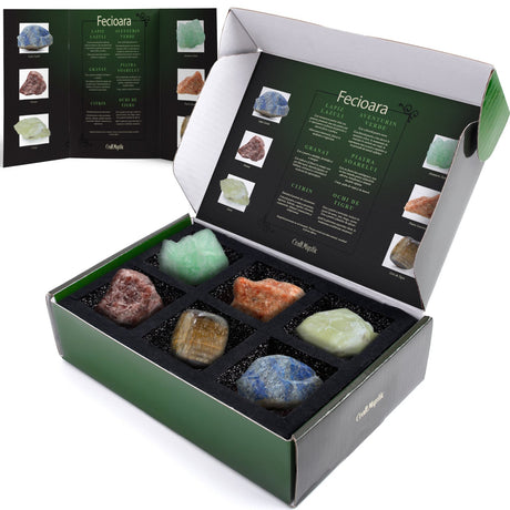 Set cadou cu cristale naturale pentru zodia Capricorn, cristale vindecatoare cu semne zodiacale, horoscop, astrologie, cadou perfect pentru zi de nastere.