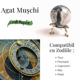 Sfera Agat muschi (Moss Agate) 50-55 mm - Echilibru si Conexiune cu Natura
