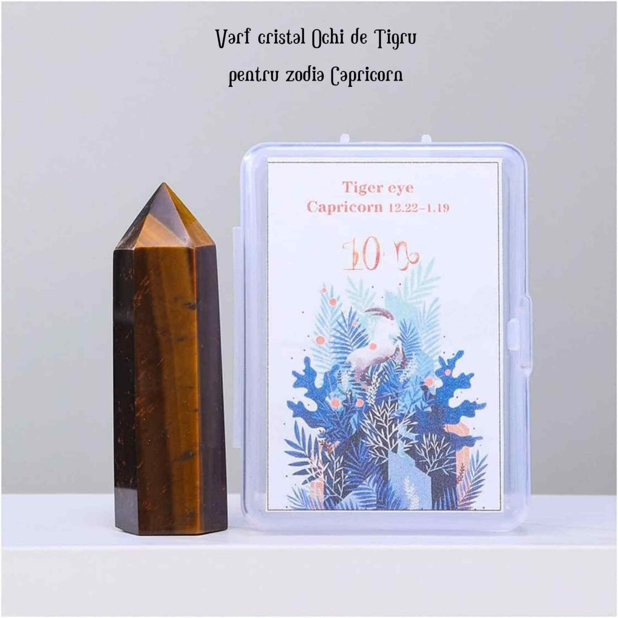 ZSC16-27-Capricorn2